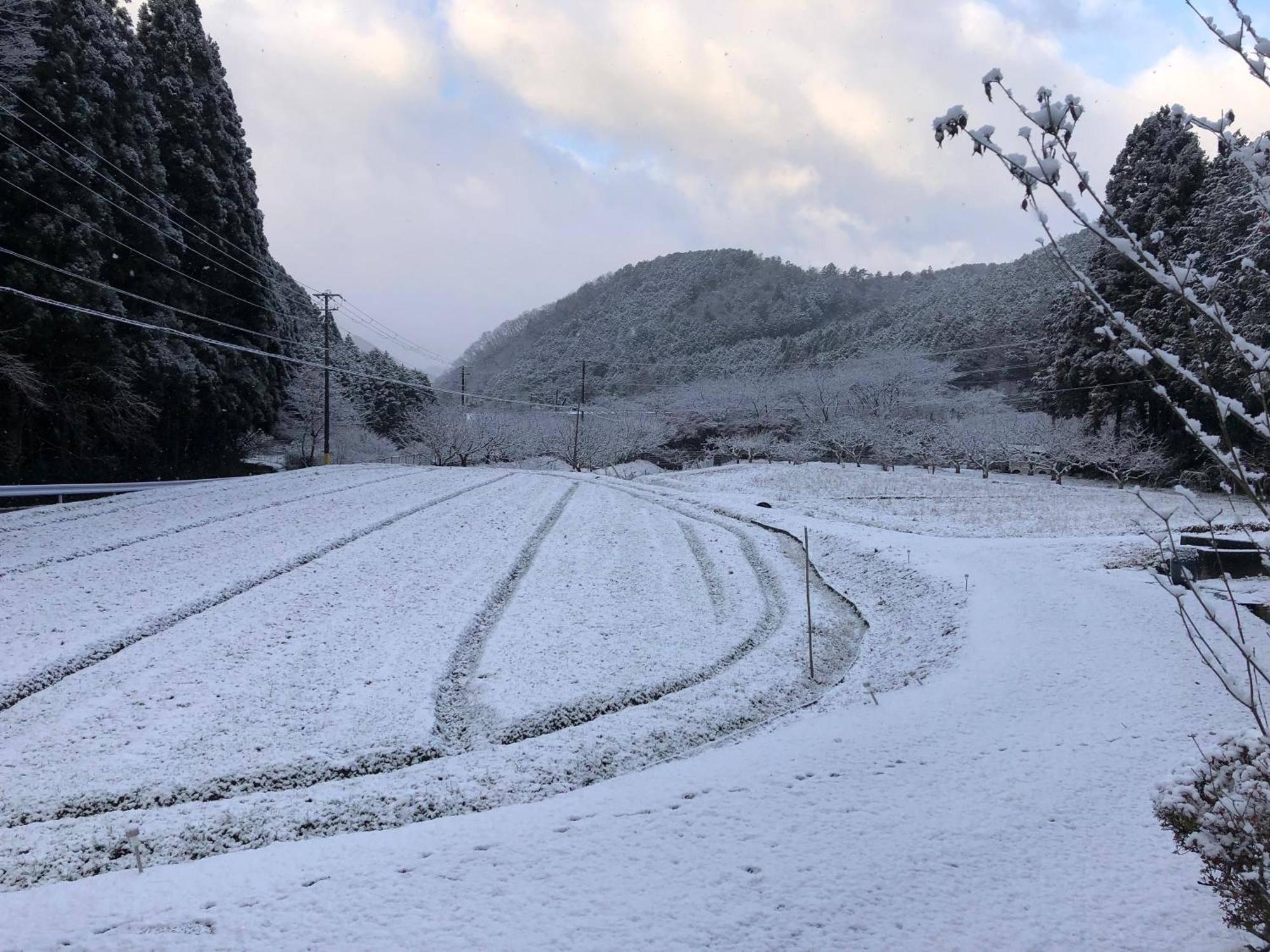 Satoyama Hotel Kanenone Tamba Maibara Eksteriør bilde