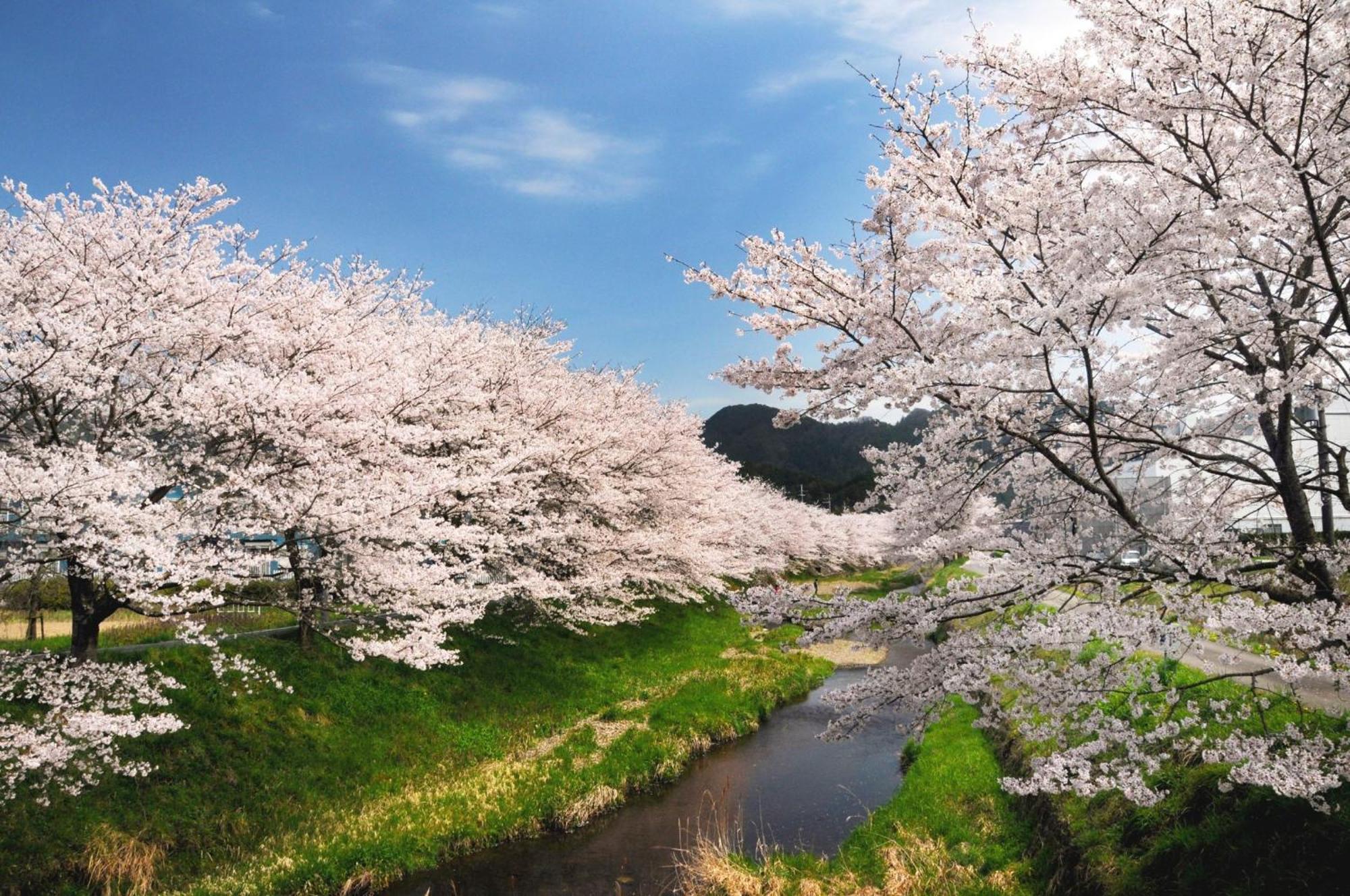 Satoyama Hotel Kanenone Tamba Maibara Eksteriør bilde