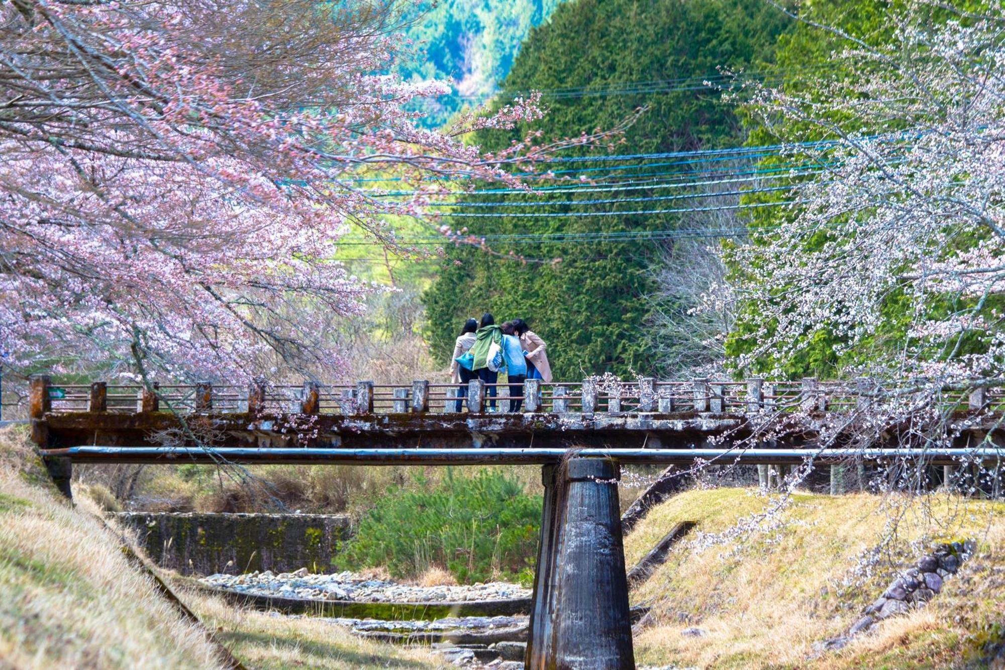 Satoyama Hotel Kanenone Tamba Maibara Eksteriør bilde