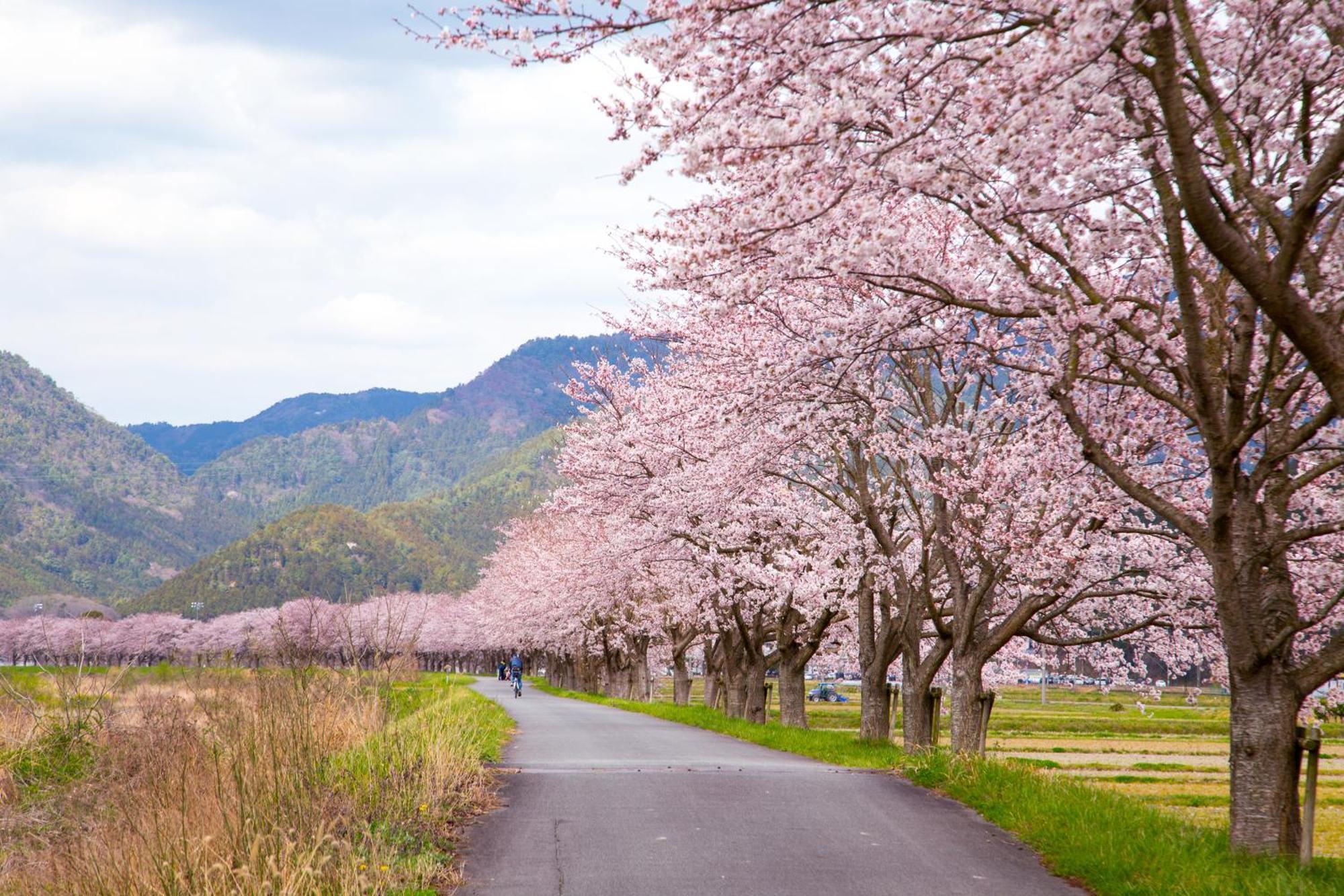 Satoyama Hotel Kanenone Tamba Maibara Eksteriør bilde